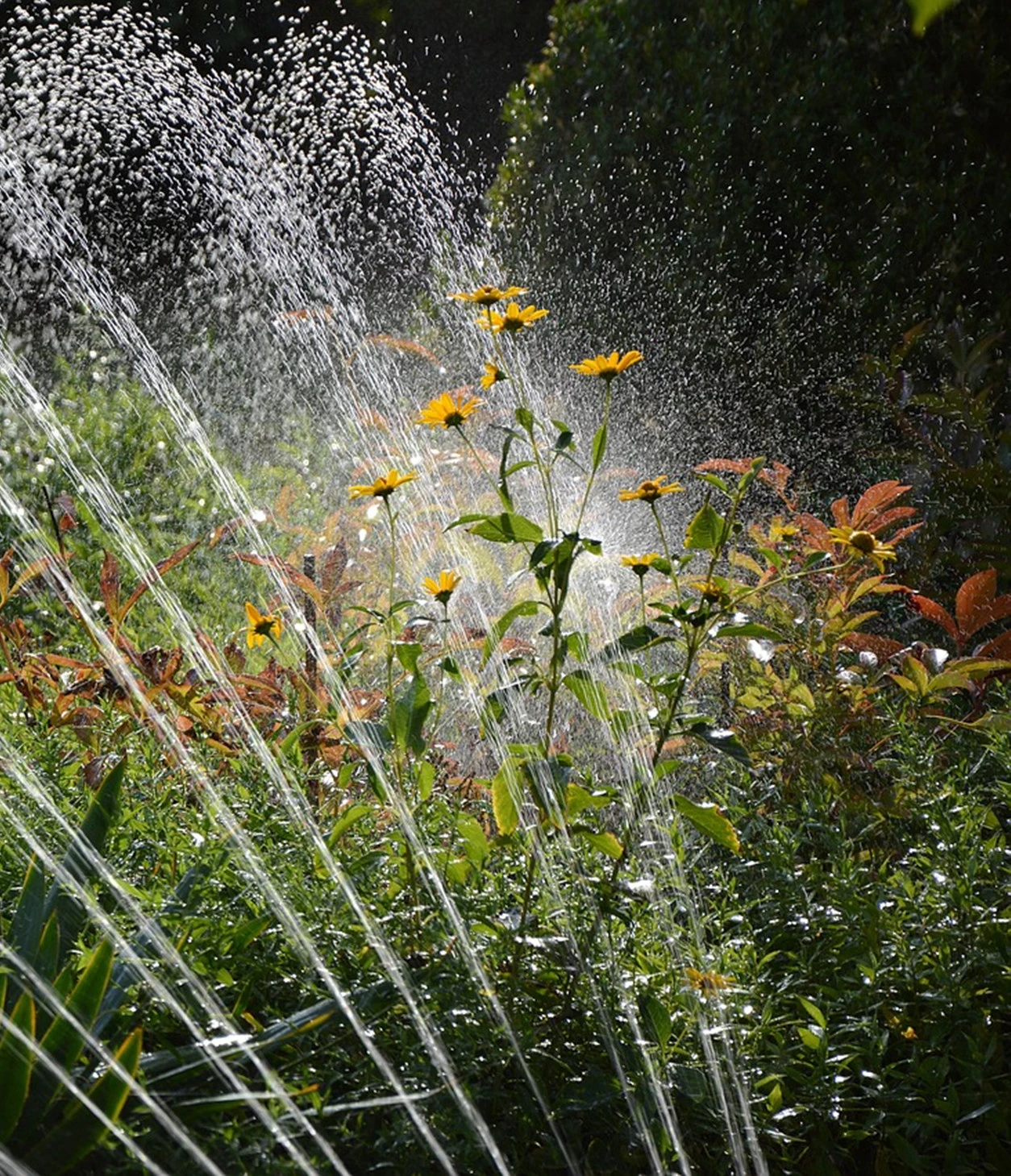 Irrigazione